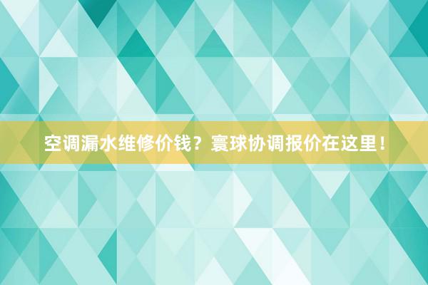 空调漏水维修价钱？寰球协调报价在这里！